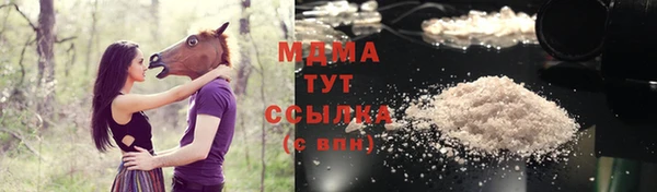 хмурый Абаза