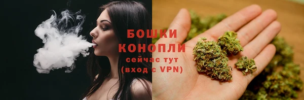 ГАЛЛЮЦИНОГЕННЫЕ ГРИБЫ Абинск