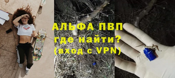 хмурый Абаза