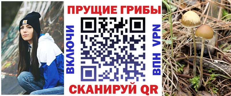 Псилоцибиновые грибы Psilocybine cubensis OMG сайт Безенчук